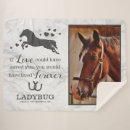Recherche de horse memorial Équine