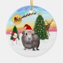 Suche nach guinea ornamente Haustiere