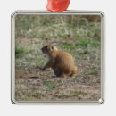 Recherche de chien de prairie ornements Faune