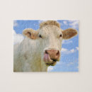 Recherche de vache vaches puzzles Pour tous