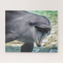 Suche nach delphin puzzle Natur