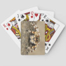 Suche nach spinnen spielkarten Poker