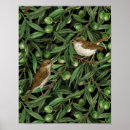 Suche nach olivenbäume poster Botanisch