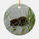 Suche nach biber ornamente Nagetier