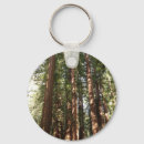 Recherche de séquoia porteclés Forêt