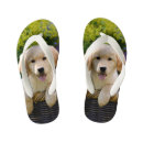 Recherche de dog tongs Drôle