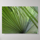 Suche nach wedel poster Palmen