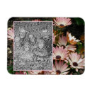 Recherche de marguerites magnets Pour elle