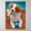 Recherche de race mélangée posters Animal familier