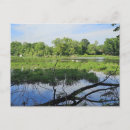 Recherche de oakland cartes postales Nature