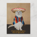 Recherche de sombreros cartes postales Chat