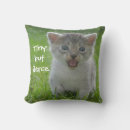 Suche nach meow kissen Kätzchen