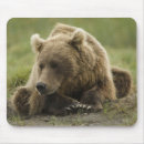 Suche nach braunbär mousepads Natur