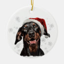 Suche nach dobermann schmuck Dogs