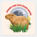 Recherche de animal capybara autocollants Mignon