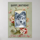 Suche nach akita inu poster Hund