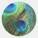 Recherche de lentille autocollants Oeil
