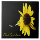 Recherche de yeux carreaux Nature