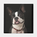 Suche nach kragen magnete Hunde