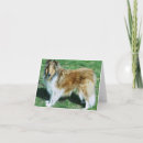 Suche nach rauer collie karten Hund