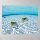 Suche nach fischer poster Strand