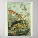 Suche nach mollusken poster Vintag