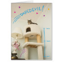 Suche nach mürrische katze postkarten Flaumig