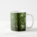 Recherche de caverne photographie Nature