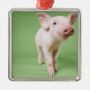 Suche nach stehend ornamente Baby