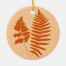 Suche nach farns ornamente Farne