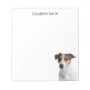 Recherche de jack russel blocsnotes Chien