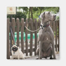 Suche nach leinen magnete Hund