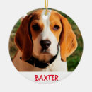 Suche nach beagle ornamente Weihnachten