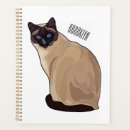 Recherche de yeux bureau fournitures Chat