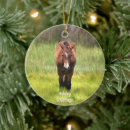 Suche nach ponys ornamente Weihnachten