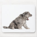 Suche nach welpen mousepads Hund