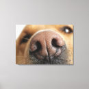 Recherche de de corps art Horizontal