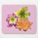 Suche nach taglilien mousepads Hemerocallis