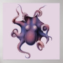 Suche nach octopus illustration poster Oktopus