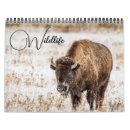 Suche nach bison kalender Wildtiere