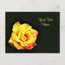 Suche nach regentropfen postkarten Rose