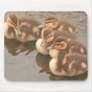 Suche nach wildes tier mousepads Babys