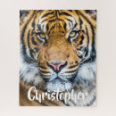 Recherche de tiger puzzles Animal