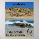 Suche nach emu poster Australisch