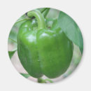 Suche nach paprika magnete Pfeffer