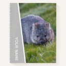 Suche nach wombat Süß