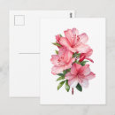 Suche nach aquarellmalerei postkarten Rosa