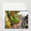 Recherche de nymphes cartes postales Nature