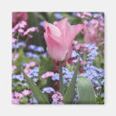 Recherche de fleurs de tulipes magnets Europe