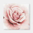 Suche nach rosa rosen magnete Floral